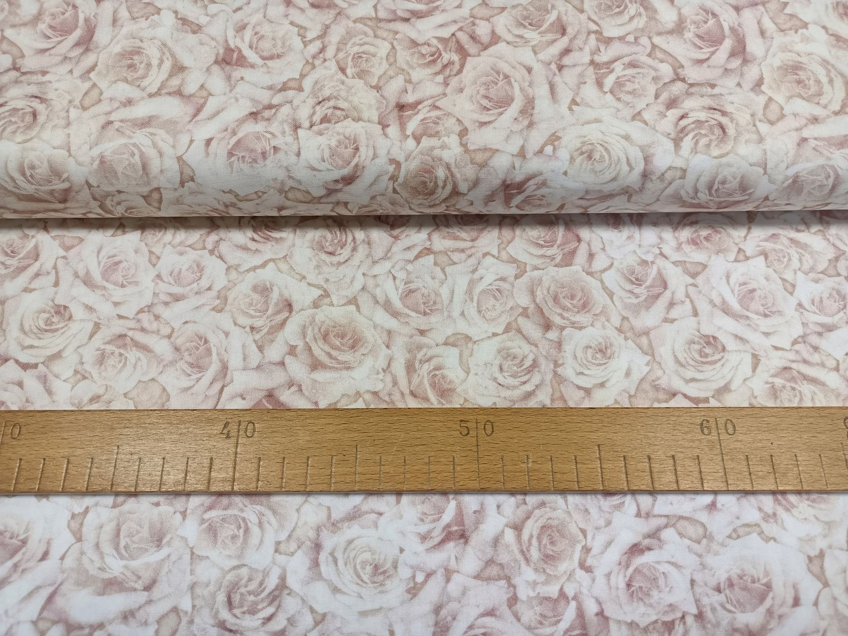 Růže starorůžové světlé