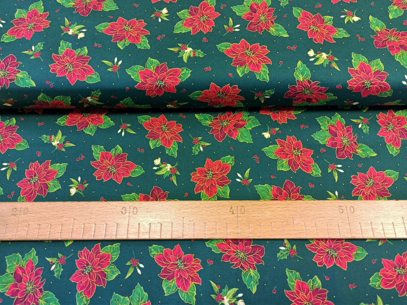 Vánoční hvězda na tmavě zelené