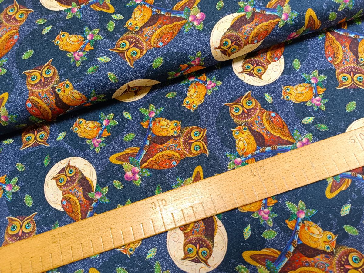 Sovy na noční obloze