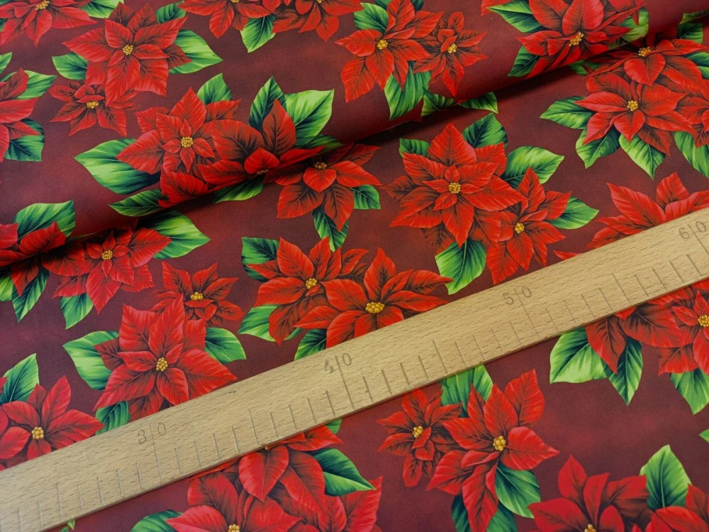 Červená vánoční hvězda na bordo