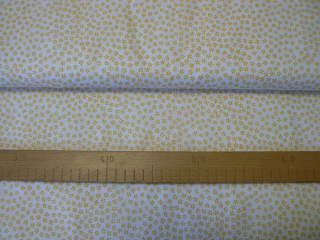 Žlutá pomněnka na bílé