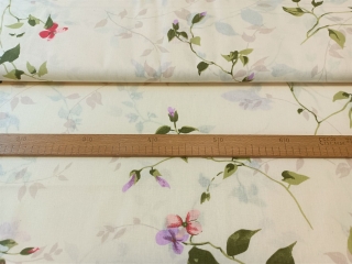 Popínavé květiny na smetanové