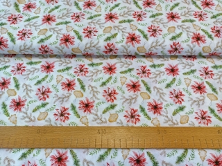 Vánoční hvězda s větvičkami na bílé