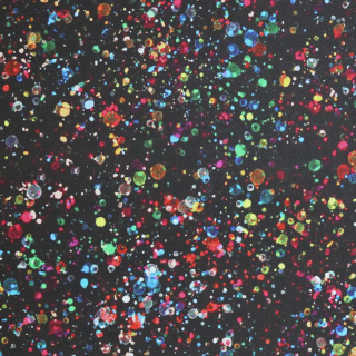 Softshell digi - Barevné skvrny na černé