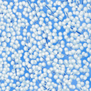 Bílostříbrné bobulky na větvičkách na světle modré