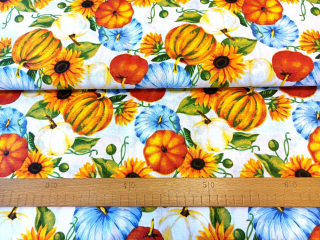 Dýně se slunečnicemi