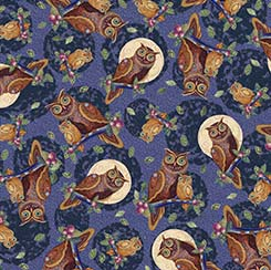 Sovy na noční obloze