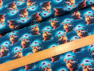 Teplákovina digi - Psi v zimě