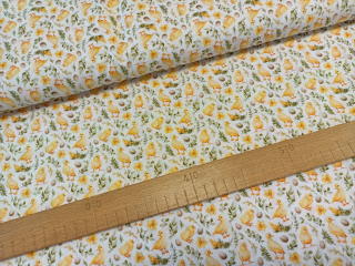 Kuřátka a housátka s větvičkami