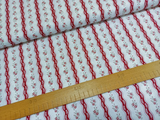 Vínová kvítečka s vlnitými pruhy