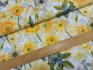 Narcisy žlutooranžové - OPĚT SKLADEM