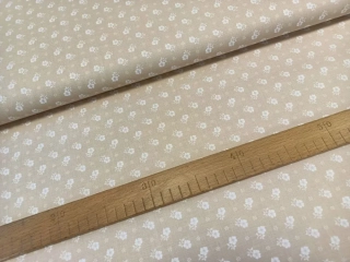 Bílá květinka na béžové