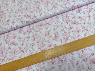 Tmavě růžoví ptáčci na větvičce na bílé