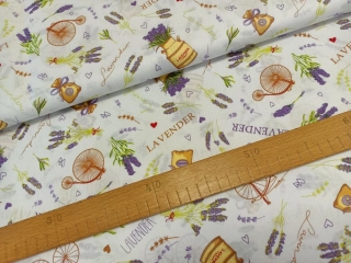 Levandule s koly na bílé