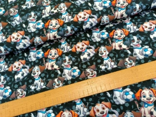 Úplet digi - Pejsci fotbalisti