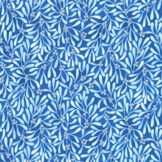 Jmelí bílostříbrné na modré