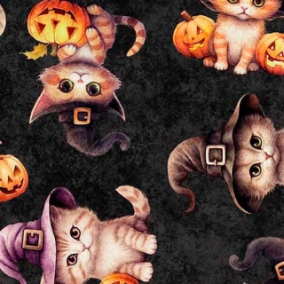 Halloweenské kočičky na černé