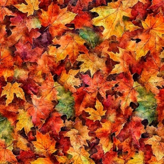 Javorové listy hnědo-oranžové