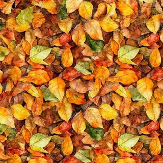 Listy žluto-hnědé