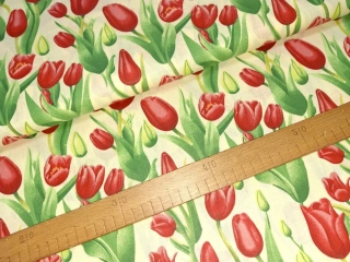 Tulipány na smetanové